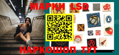 гашик Можга