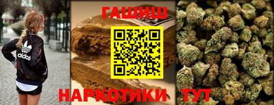 гашик Можга