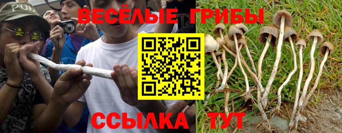 Псилоцибиновые грибы ЛСД Усть-Джегута