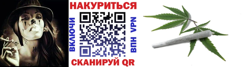 Марихуана план  Усть-Джегута 